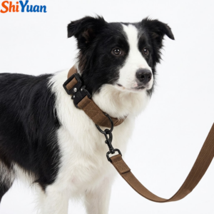 SHIYUAN Alloy Buckle Anti Pull Dog Collar