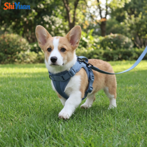SHIYUAN PVC Dog Harness with Leash and Collar Set